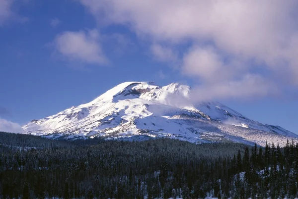 Sněžný vrchol hory — Stock fotografie