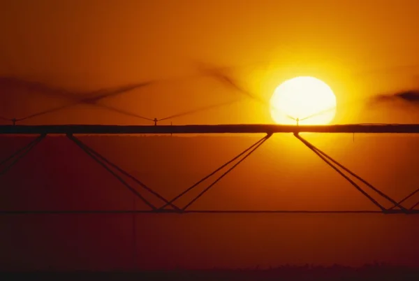 Bewässerungsregner bei Sonnenuntergang — Stockfoto