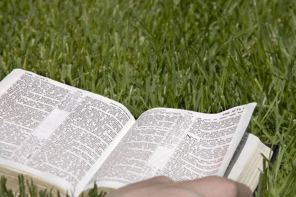 Biblia, leżąc na trawie — Zdjęcie stockowe