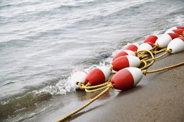 Group Of Bouys — Stock Photo, Image