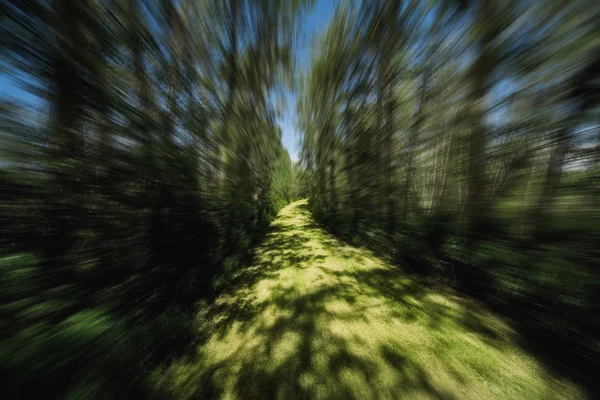 Blurred Motion On Pathway — Stock Photo, Image