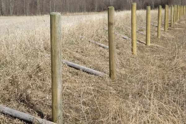 Rural Fence Posts — Stock Photo, Image