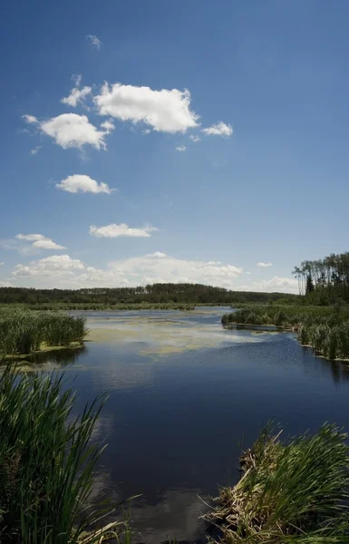 Étang panoramique — Photo