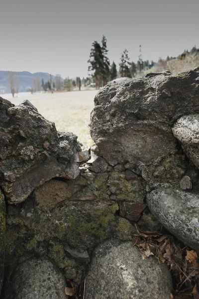 Haie en pierre altérée — Photo