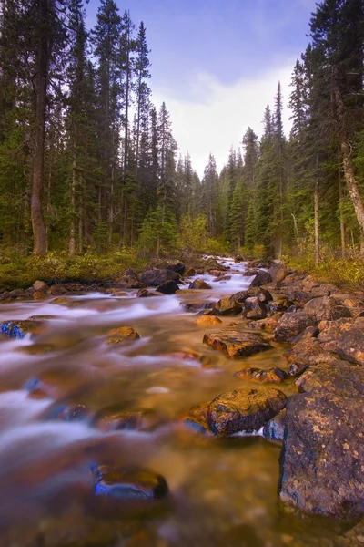 Moraine Creek À Banff, Alberta, Canada — Photo