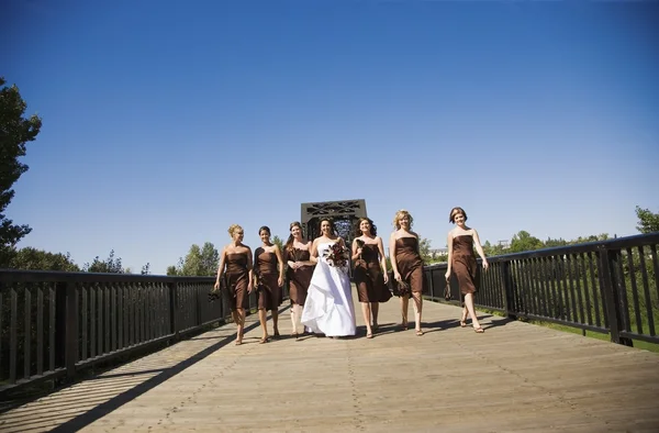Подружки невесты и невесты — стоковое фото