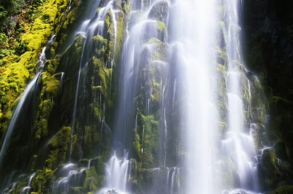 Faller med blur rörelse — Stockfoto