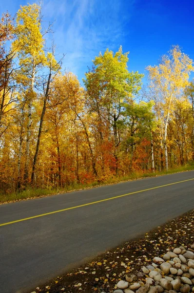 Estrada no Outono — Fotografia de Stock