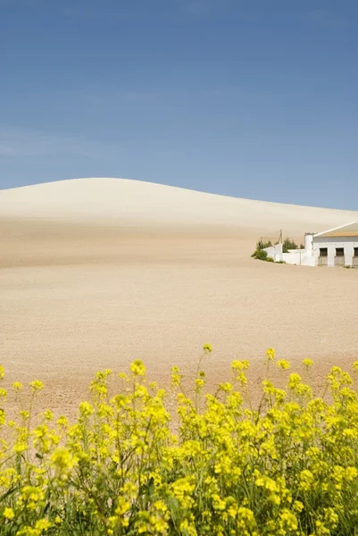 Farmhouse In Málaga Province, Andalucia, Spain — Stockfoto