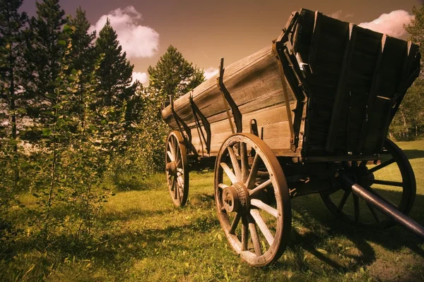 Oude wagen — Stockfoto