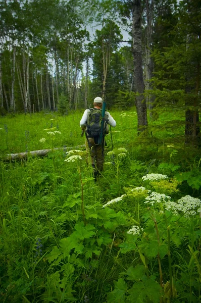 Человек, прогуливающийся по лесу — стоковое фото