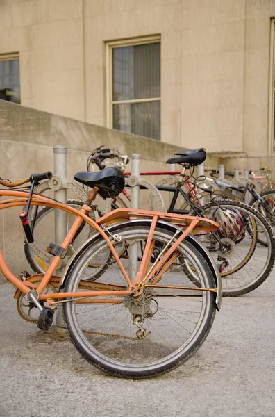 Vélos dans une rangée — Photo