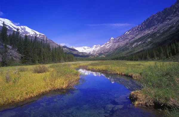 Parque Provincial Rockies, Columbia Británica, Canadá — Foto de Stock