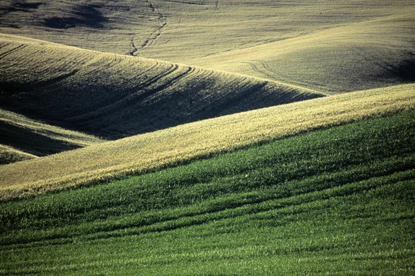 Yuvarlanan Tepeler — Stok fotoğraf