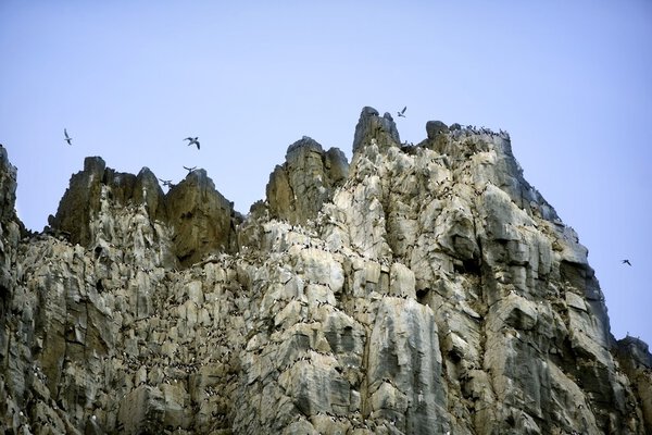 Coburg Island In The Canadian Arctic