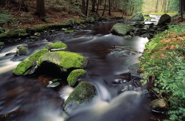 A Rushing Brook — Stock Photo, Image