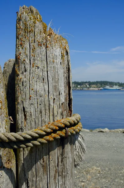 Post And Shoreline — Stock Photo, Image