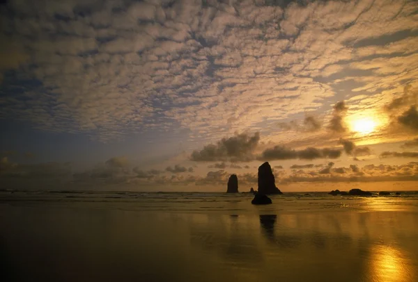 Ocean Sunset, costa de Oregon — Foto de Stock