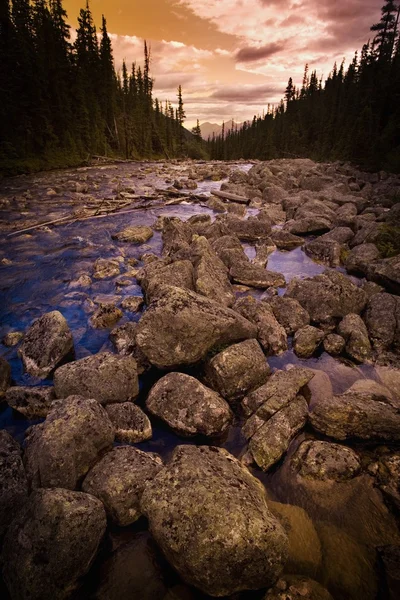 Letto del fiume roccioso — Foto Stock