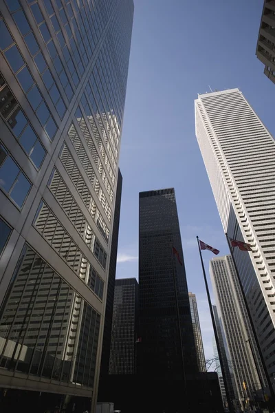 Tall Buildings — Stock Photo, Image