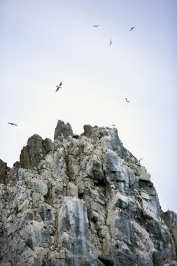 Coburg Island Kanada Arctic