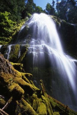 Proxy Falls