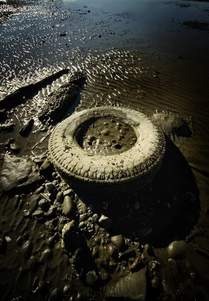 在海滩上被遗弃的旧轮胎 — 图库照片