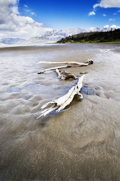 Paysage de plage — Photo