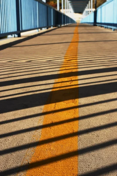 Caminho de bicicleta — Fotografia de Stock