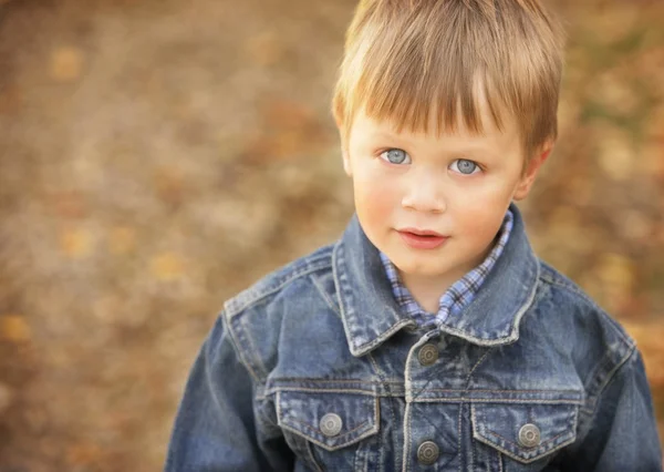 Portrait Of A Little Boy — Stock Photo, Image