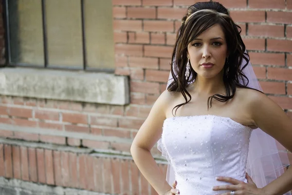 Bride Posing — Stock Photo, Image