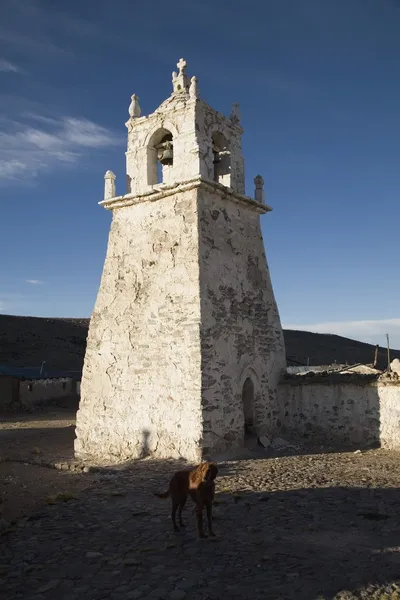 Çan kulesinde guallatire, Güney Amerika — Stok fotoğraf