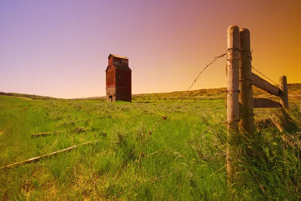 Schuur in veld — Stockfoto