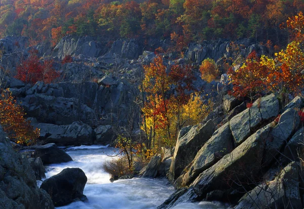 Great Falls, w stanie Maryland — Zdjęcie stockowe