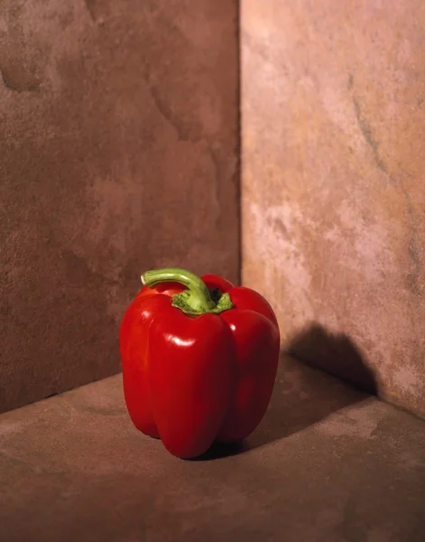 Κόκκινο πιπέρι κουδουνιών — Φωτογραφία Αρχείου