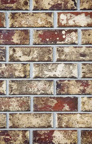 Brick Wall — Stock Photo, Image