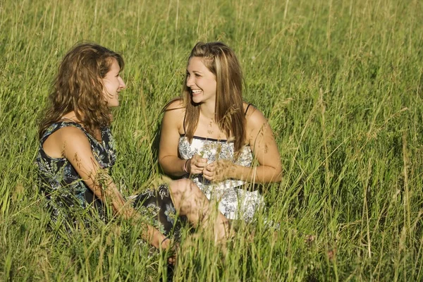 Due giovani donne che parlano in campo — Foto Stock