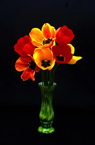 Tulipanes en un florero verde —  Fotos de Stock