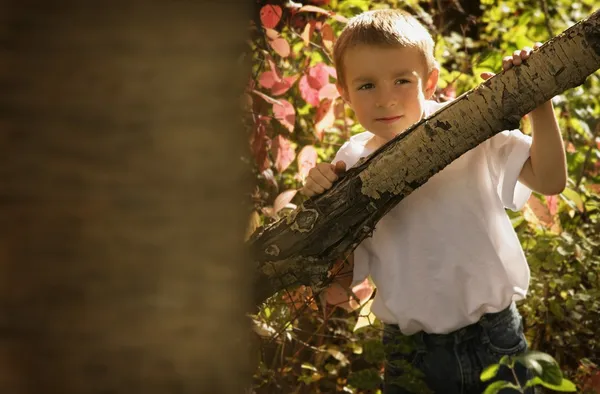 Мальчик, играющий в деревья — стоковое фото