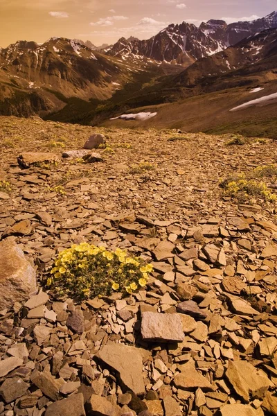 Escena de montaña rocosa —  Fotos de Stock