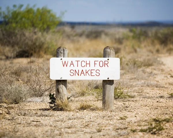 Watch For Snakes — Stock Photo, Image