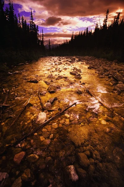 Rocky River ved solnedgang - Stock-foto