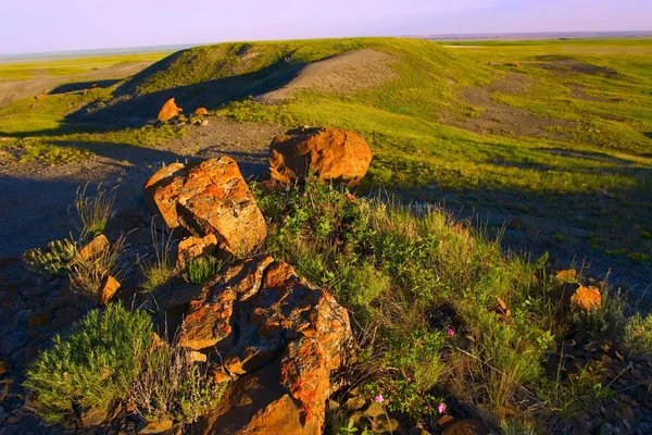 Красный рок-кули — стоковое фото