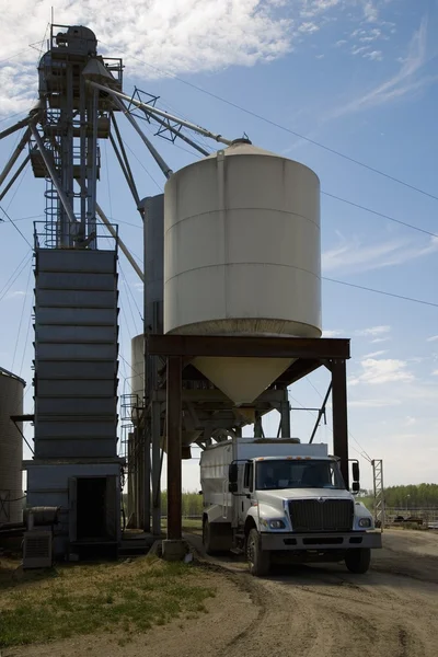 Camión en el lote de alimentación — Foto de Stock