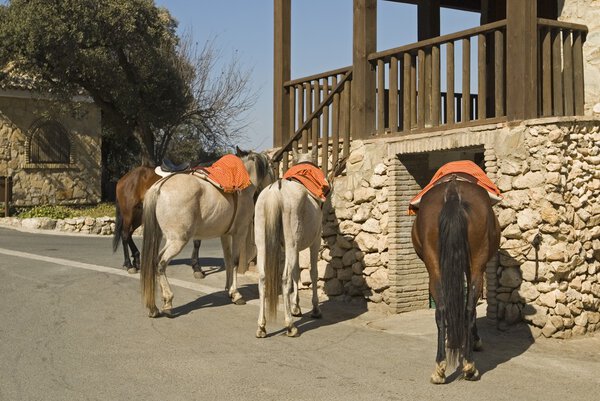 Аренда лошадей в ресторане, Эль-Пешон, провинция Севилья, Андалусия, Испания
