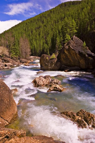 Rushing Stream στην άγρια φύση — Φωτογραφία Αρχείου