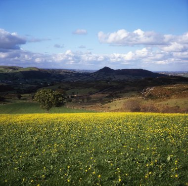 Co armagh, slieve gullion, İrlanda