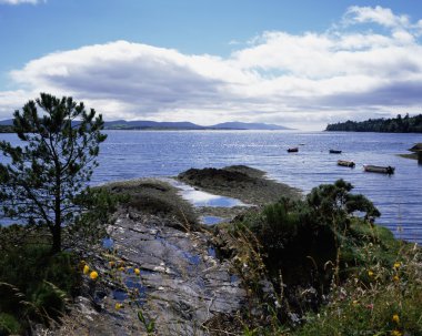 Bantry Körfezi, co cork, İrlanda