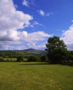 Co carlow, (borris alandan) mount leinster, İrlanda