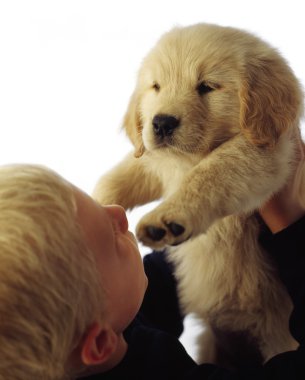 Çocuk holding köpek yavrusu kadar